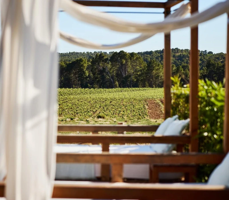 Viñedos de Vilasira vistos desde la pérgola